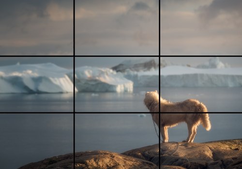 Understanding the Rule of Thirds for Better Photography