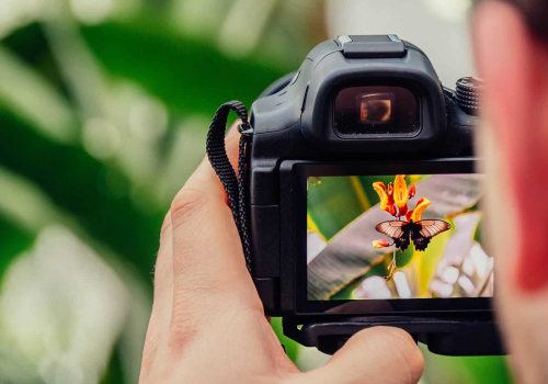 A Beginner's Guide to Professional DSLR Cameras